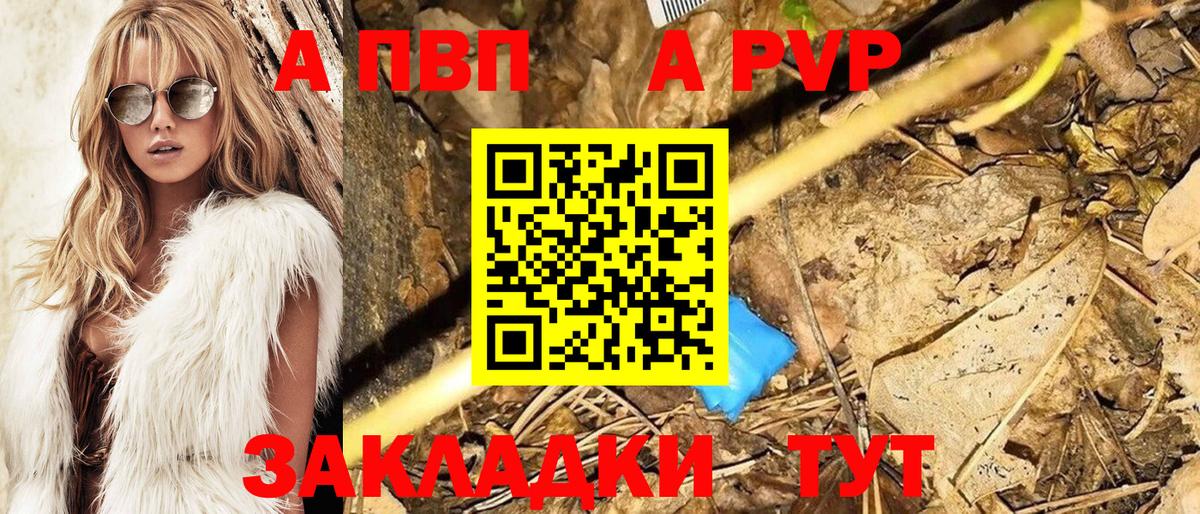 A PVP СК КРИС Карасук