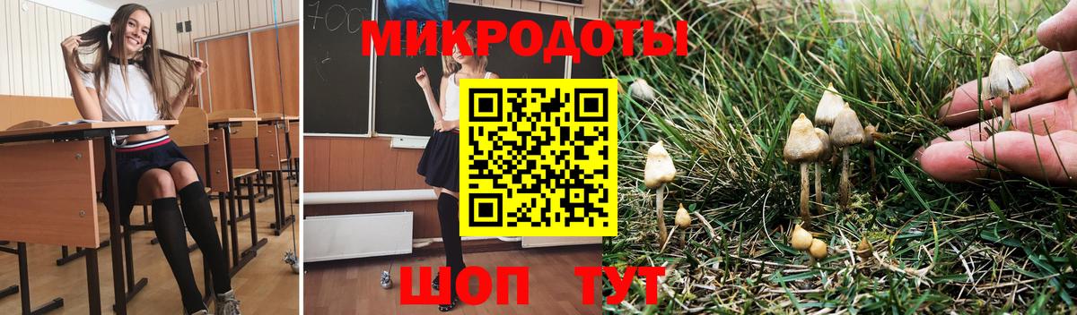 Галлюциногенные грибы мухоморы  Вход с VPN  Карасук 