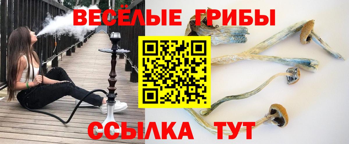 Кокаин  Alpha PVP СК кристаллы  Мефедрон   ГАШИШ  АМФ   Вход с VPN  Карасук  Марихуана 